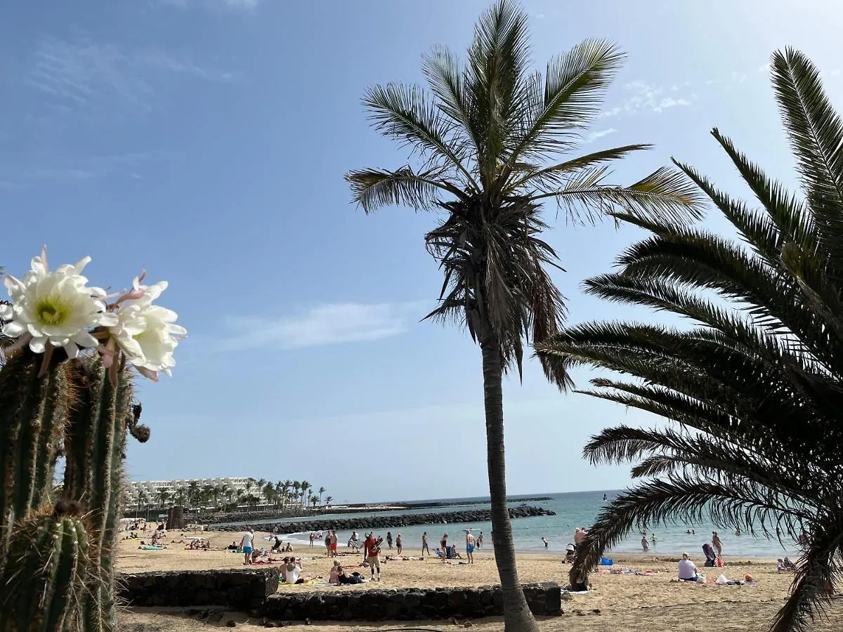Casa Minerva Apartment Costa Teguise