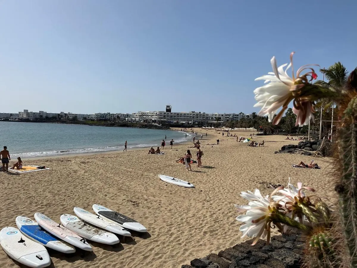 Casa Minerva Apartment Costa Teguise 0*,